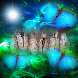 starseed chrysalis