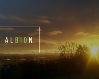 Albion