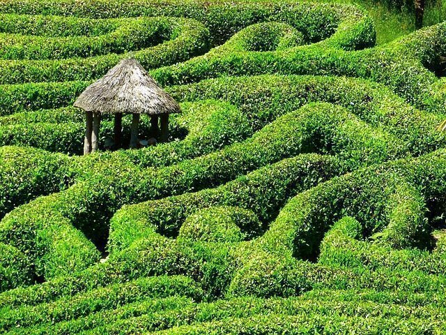 Smiling the Stars-Healing the Morphogenic Field 5 Mind-Maze