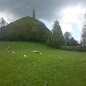 The-Tor