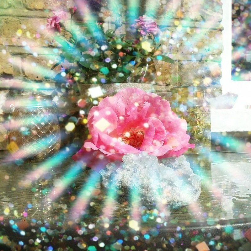jewelled-expressions, rose Rose