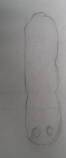 Implants & Strange, Weird looking things.. 3 etheric-worm