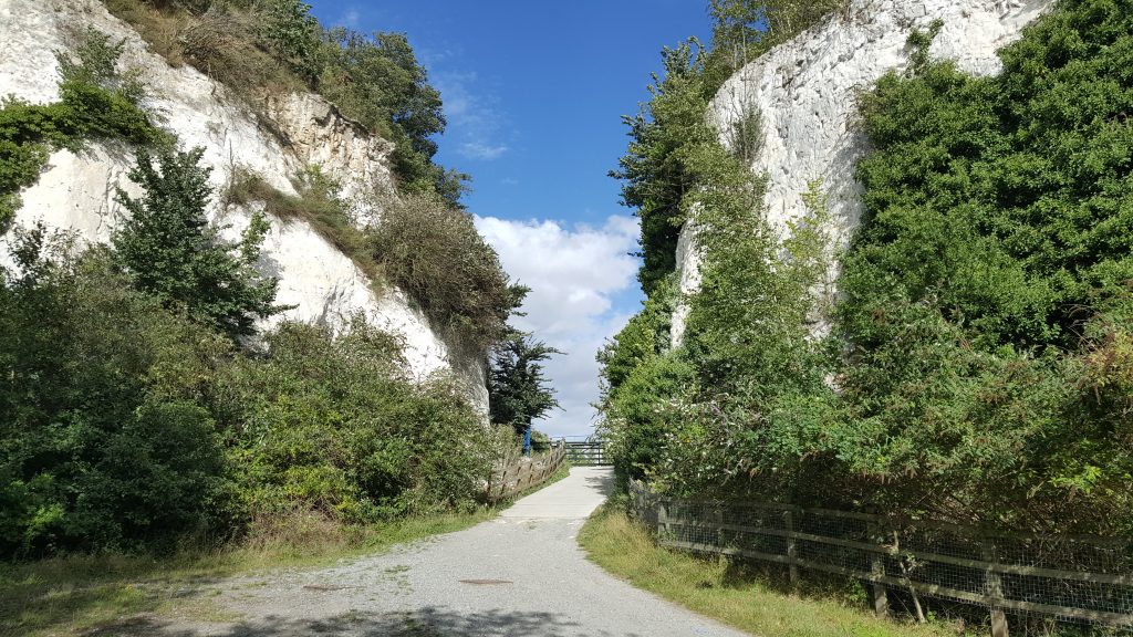 PODcast 10 lions gorge