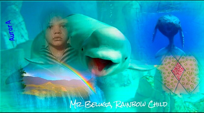 mr Beluga